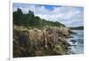 Maine, Mt. Desert Island, Acadia National Park, Cliffs by Sand Beach-Walter Bibikow-Framed Photographic Print