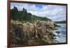 Maine, Mt. Desert Island, Acadia National Park, Cliffs by Sand Beach-Walter Bibikow-Framed Photographic Print