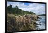 Maine, Mt. Desert Island, Acadia National Park, Cliffs by Sand Beach-Walter Bibikow-Framed Photographic Print