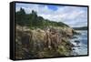 Maine, Mt. Desert Island, Acadia National Park, Cliffs by Sand Beach-Walter Bibikow-Framed Stretched Canvas