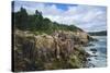 Maine, Mt. Desert Island, Acadia National Park, Cliffs by Sand Beach-Walter Bibikow-Stretched Canvas