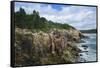 Maine, Mt. Desert Island, Acadia National Park, Cliffs by Sand Beach-Walter Bibikow-Framed Stretched Canvas