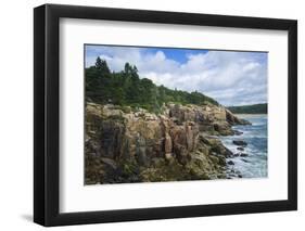 Maine, Mt. Desert Island, Acadia National Park, Cliffs by Sand Beach-Walter Bibikow-Framed Photographic Print