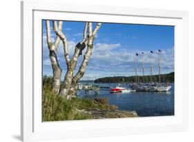 Maine, Mt. Desert Island, Bar Harbor, Tall Ship, Frenchman Bay-Walter Bibikow-Framed Photographic Print