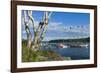 Maine, Mt. Desert Island, Bar Harbor, Tall Ship, Frenchman Bay-Walter Bibikow-Framed Photographic Print