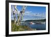 Maine, Mt. Desert Island, Bar Harbor, Tall Ship, Frenchman Bay-Walter Bibikow-Framed Photographic Print