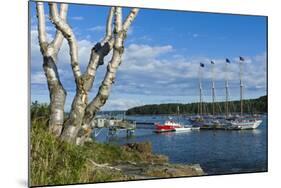 Maine, Mt. Desert Island, Bar Harbor, Tall Ship, Frenchman Bay-Walter Bibikow-Mounted Photographic Print