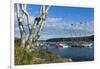 Maine, Mt. Desert Island, Bar Harbor, Tall Ship, Frenchman Bay-Walter Bibikow-Framed Photographic Print