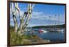 Maine, Mt. Desert Island, Bar Harbor, Tall Ship, Frenchman Bay-Walter Bibikow-Framed Photographic Print