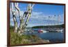 Maine, Mt. Desert Island, Bar Harbor, Tall Ship, Frenchman Bay-Walter Bibikow-Framed Photographic Print