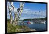 Maine, Mt. Desert Island, Bar Harbor, Tall Ship, Frenchman Bay-Walter Bibikow-Framed Photographic Print