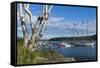 Maine, Mt. Desert Island, Bar Harbor, Tall Ship, Frenchman Bay-Walter Bibikow-Framed Stretched Canvas