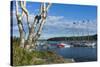 Maine, Mt. Desert Island, Bar Harbor, Tall Ship, Frenchman Bay-Walter Bibikow-Stretched Canvas