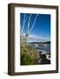 Maine, Mt. Desert Island, Bar Harbor, Tall Ship, Frenchman Bay-Walter Bibikow-Framed Photographic Print