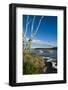 Maine, Mt. Desert Island, Bar Harbor, Tall Ship, Frenchman Bay-Walter Bibikow-Framed Photographic Print