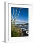 Maine, Mt. Desert Island, Bar Harbor, Tall Ship, Frenchman Bay-Walter Bibikow-Framed Photographic Print