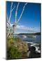 Maine, Mt. Desert Island, Bar Harbor, Tall Ship, Frenchman Bay-Walter Bibikow-Mounted Photographic Print