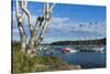 Maine, Mt. Desert Island, Bar Harbor, Tall Ship, Frenchman Bay-Walter Bibikow-Stretched Canvas