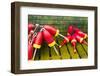 Maine, Mt. Desert Island, Bernard, Lobster Buoys-Walter Bibikow-Framed Photographic Print