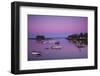 Maine, Newagen, Harbor View, Dawn-Walter Bibikow-Framed Photographic Print