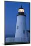 Maine, Pemaquid. Lighthouse offers protection to ships at sea along the coast.-Brenda Tharp-Mounted Photographic Print