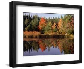 Maine Pond with Reflection and Chair, USA-Charles Sleicher-Framed Photographic Print