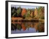 Maine Pond with Reflection and Chair, USA-Charles Sleicher-Framed Photographic Print