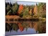 Maine Pond with Reflection and Chair, USA-Charles Sleicher-Mounted Photographic Print