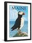 Maine - Puffin on Rock Scene-Lantern Press-Framed Art Print