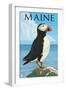 Maine - Puffin on Rock Scene-Lantern Press-Framed Art Print