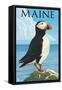 Maine - Puffin on Rock Scene-Lantern Press-Framed Stretched Canvas
