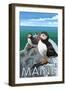 Maine - Puffins Scene-Lantern Press-Framed Art Print