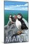 Maine - Puffins Scene-Lantern Press-Mounted Art Print