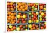 Maine, Rockland, Cherry Tomatoes at Farmers Market-Walter Bibikow-Framed Photographic Print