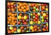 Maine, Rockland, Cherry Tomatoes at Farmers Market-Walter Bibikow-Framed Photographic Print