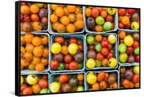 Maine, Rockland, Cherry Tomatoes at Farmers Market-Walter Bibikow-Framed Stretched Canvas