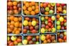 Maine, Rockland, Cherry Tomatoes at Farmers Market-Walter Bibikow-Stretched Canvas