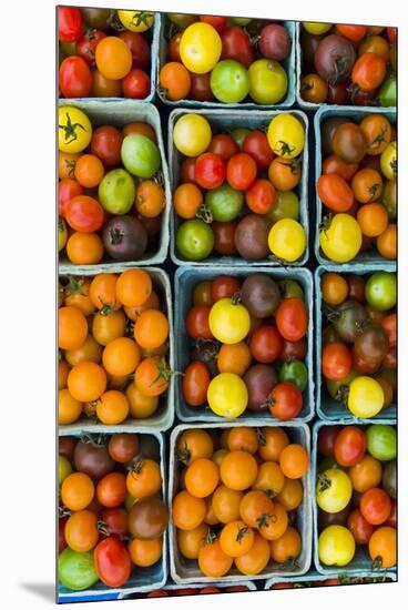 Maine, Rockland, Cherry Tomatoes at Farmers Market-Walter Bibikow-Mounted Premium Photographic Print