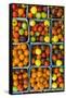 Maine, Rockland, Cherry Tomatoes at Farmers Market-Walter Bibikow-Framed Stretched Canvas