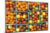 Maine, Rockland, Cherry Tomatoes at Farmers Market-Walter Bibikow-Mounted Photographic Print