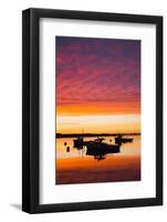 Maine Scenic-null-Framed Photographic Print