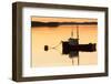 Maine Scenic-null-Framed Photographic Print