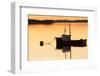 Maine Scenic-null-Framed Photographic Print