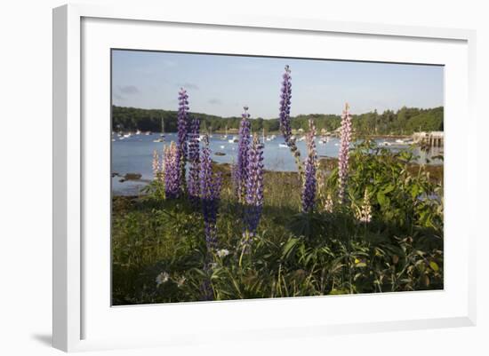 Maine Scenic-Lynn M^ Stone-Framed Photographic Print