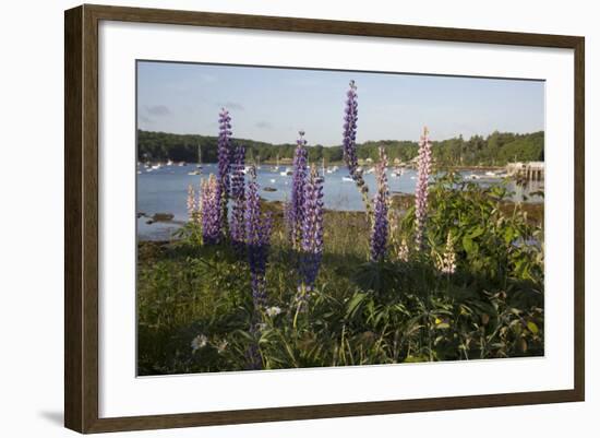 Maine Scenic-Lynn M^ Stone-Framed Photographic Print