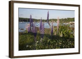 Maine Scenic-Lynn M^ Stone-Framed Photographic Print