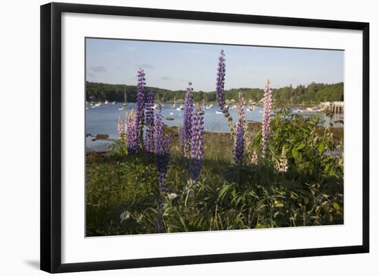 Maine Scenic-Lynn M^ Stone-Framed Photographic Print