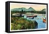 Maine - Sourdnahunk Valley Lily Pad Pond Scene-Lantern Press-Framed Stretched Canvas