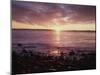 Maine, Sunrise over the Rocky Shoreline of the Atlantic Ocean-Christopher Talbot Frank-Mounted Photographic Print