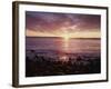 Maine, Sunrise over the Rocky Shoreline of the Atlantic Ocean-Christopher Talbot Frank-Framed Photographic Print